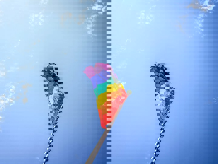 Pride (Photo By Tim Bieler)